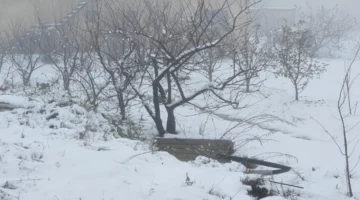 ثلوج وأمطار رعدية.. الأرصاد تحذر سكان 10 ولايات من تقلبات جوية مرتقبة